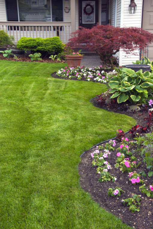 Manicured Yard with Quality Landscaping